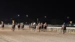 El potrillo argentino Ever Daddy sacó varios cuerpos y se quedó con el Gran Premio José Pedro Ramírez en una jornada memorable.