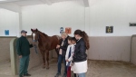 Visita de las escuelas de la zona